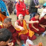 India 2011 - №2